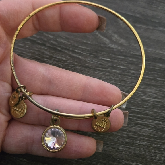 Alex and Ani Jewelry - Alex & Ani June Stone Charm Bangle
